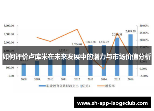 如何评价卢库米在未来发展中的潜力与市场价值分析