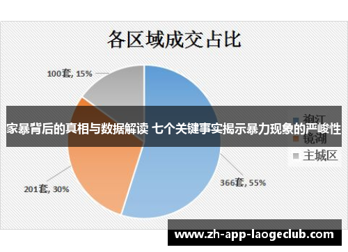 家暴背后的真相与数据解读 七个关键事实揭示暴力现象的严峻性