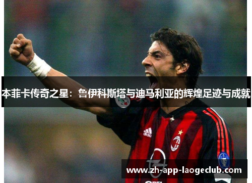 本菲卡传奇之星：鲁伊科斯塔与迪马利亚的辉煌足迹与成就