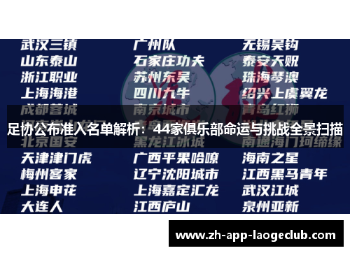 足协公布准入名单解析：44家俱乐部命运与挑战全景扫描