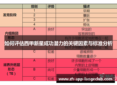 如何评估西甲新星成功潜力的关键因素与标准分析