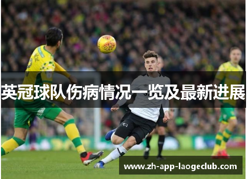 英冠球队伤病情况一览及最新进展