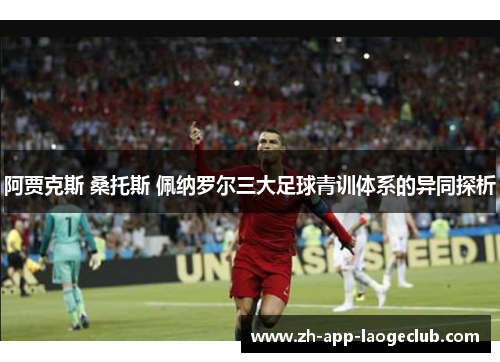 阿贾克斯 桑托斯 佩纳罗尔三大足球青训体系的异同探析 阿贾克斯 桑托斯 佩纳罗尔三大足球青训体系的异同探析